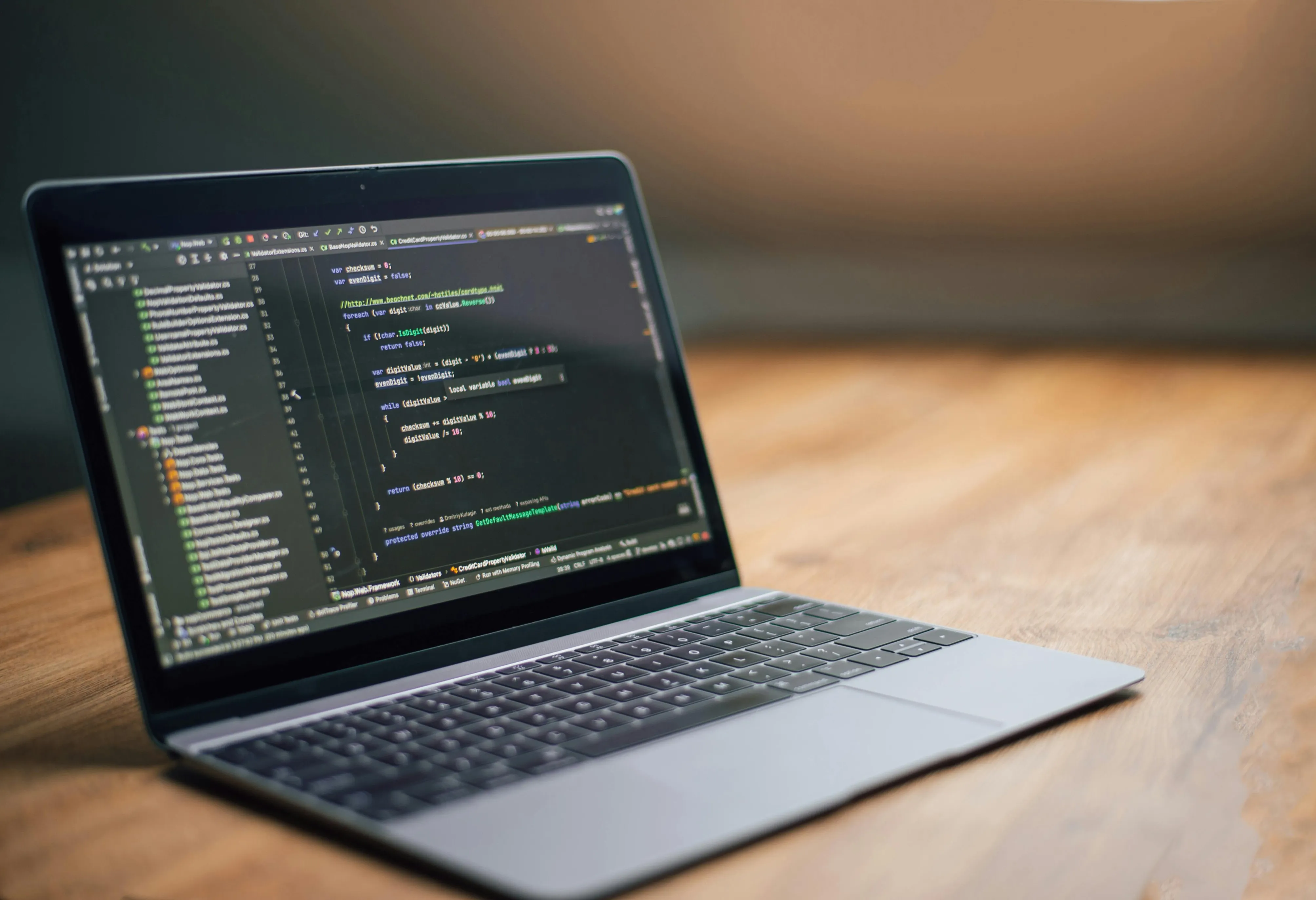 Web Development Image